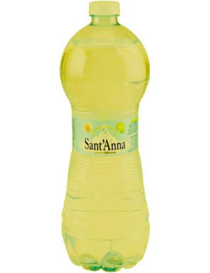 SANT'ANNA ACQUA LT.1 NATURALE PET