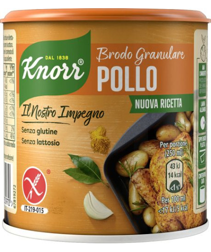 KNORR BRODO GRANULARE POLLO GR 150 NEW