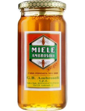 Ambrosoli Miele Millefiori gr.500