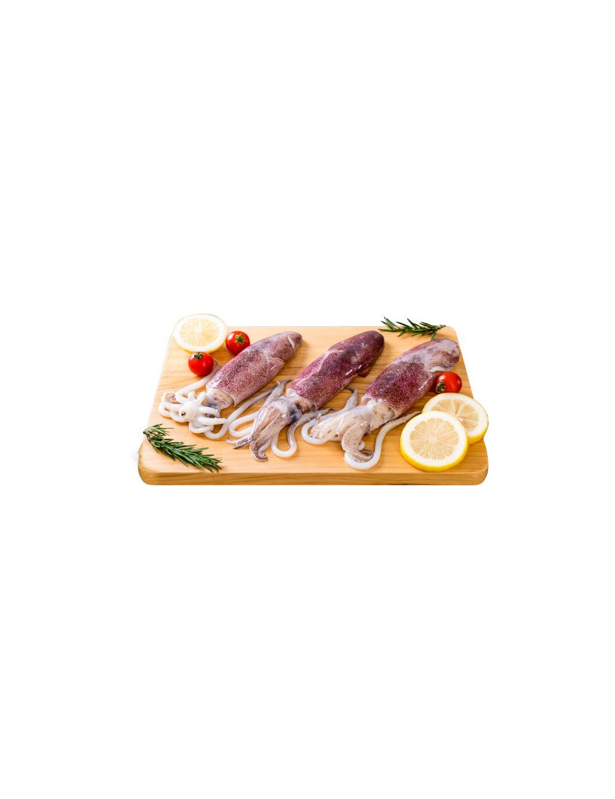 CALAM.CONG.SPORCO 3/6 AA FAO57 BLOCCO 6X2KG GLASS.10%