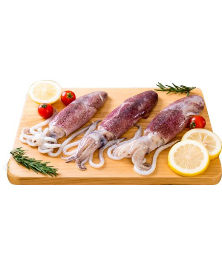 CALAM.CONG.SPORCO 3/6 AA FAO57 BLOCCO 6X2KG GLASS.10%