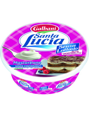 Galbani Mascarpone Santa Lucia Senza Lattosio gr.250