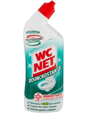 Wc Net Disincrostante ml.700