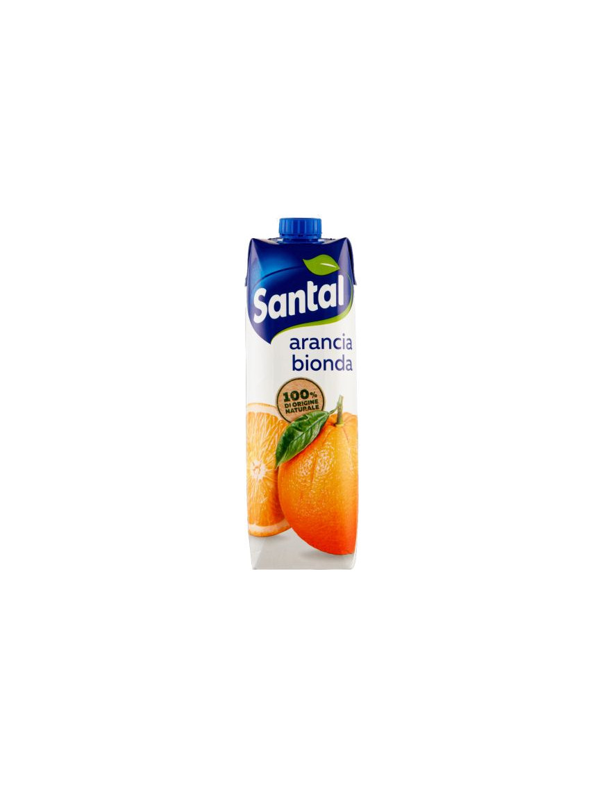 Santal Succo Arancia lt.1