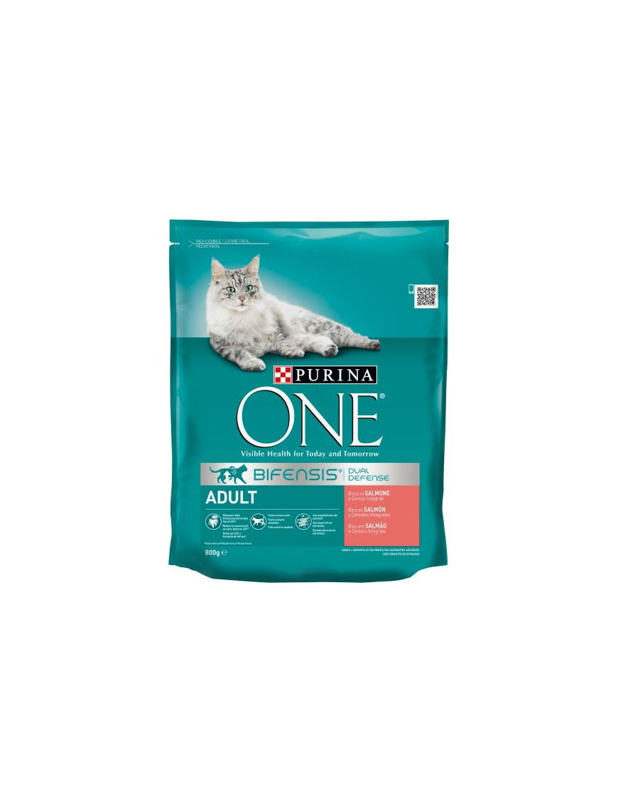 O.N.E. Cat Adult Salmone & Riso gr.800