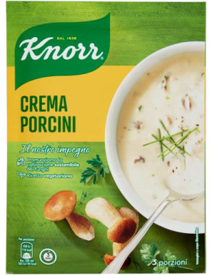 KNORR CREMA CON PORCINI G.76