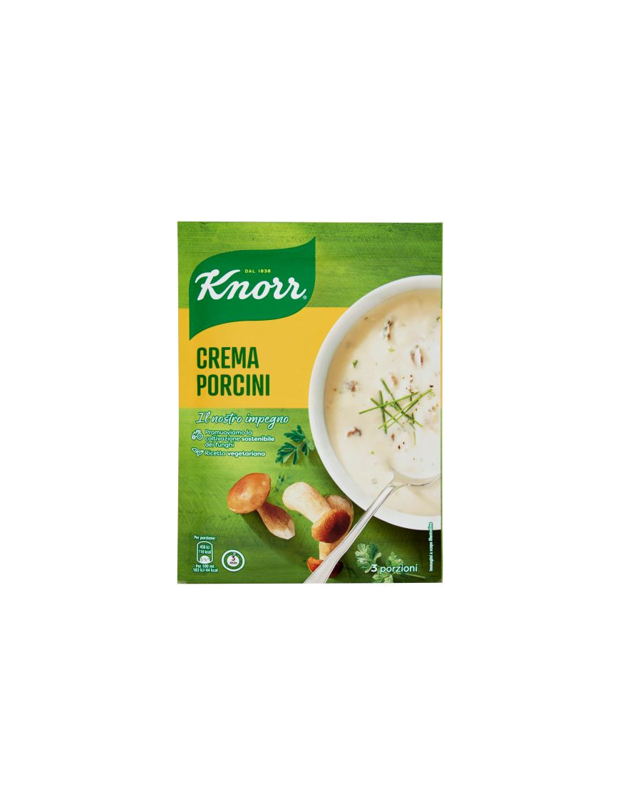KNORR CREMA CON PORCINI G.76