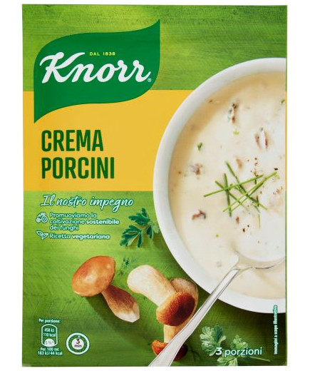 KNORR CREMA CON PORCINI G.76
