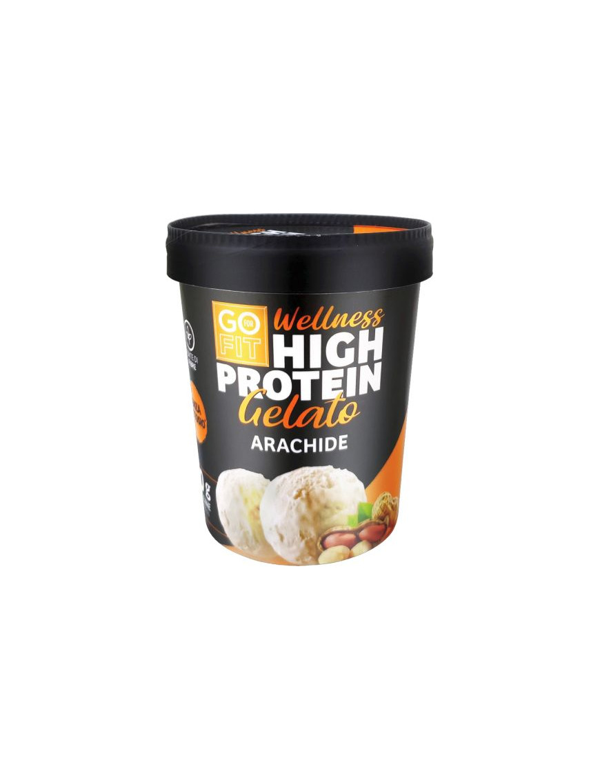 Go For Fit Gelato High Protein gr.300 Arachide