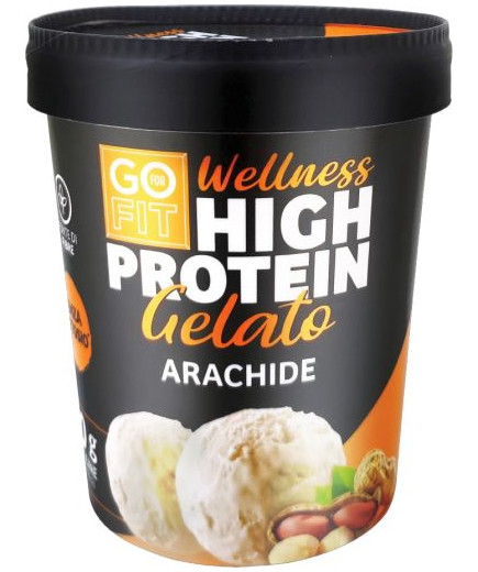 Go For Fit Gelato High Protein gr.300 Arachide