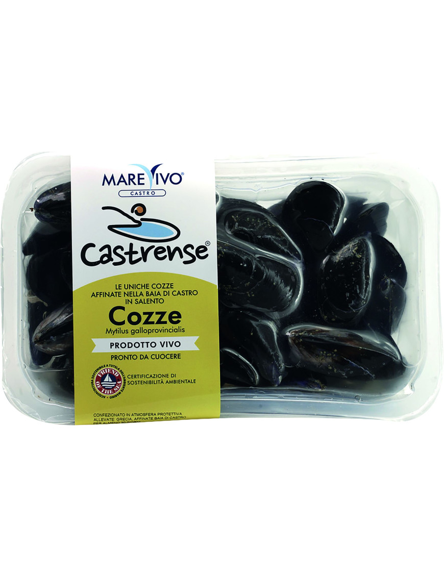 COZZE CASTRENSI SV KG 1 ALLEV.MYTILUSGALLOPROVINCIALIS.CTX4