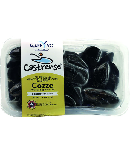 COZZE CASTRENSI SV KG 1 ALLEV.MYTILUSGALLOPROVINCIALIS.CTX4