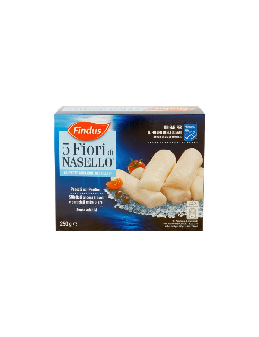 Findus Fior Di Nasello gr.250