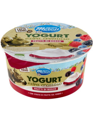 MERANO YOGURT LATTE FIENO DOPPIO STRATO G.150 FRUTTI BOSCO