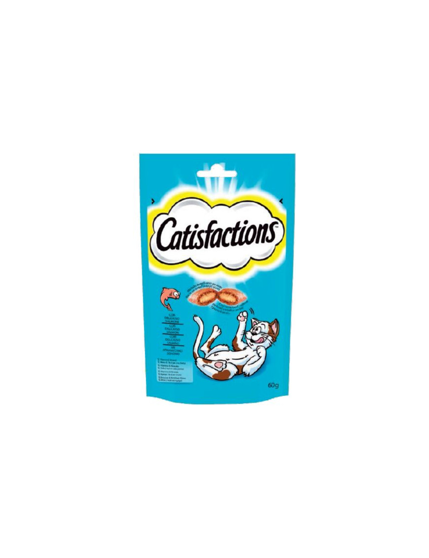 CATISFACTION SALMONE G.60                     -GATTO-