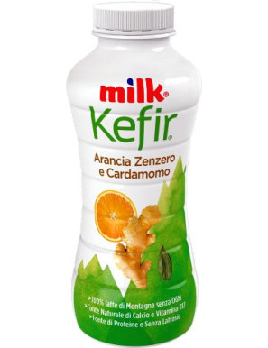 MILK KEFIR DA BERE G.480 ARANCIA/ZENZERO/CARDAMOMO(SAL