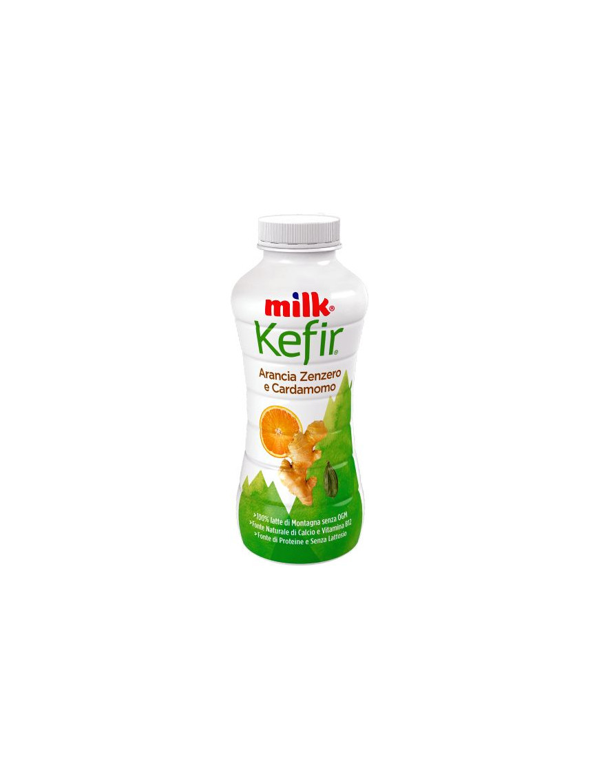 MILK KEFIR DA BERE G.480 ARANCIA/ZENZERO/CARDAMOMO(SAL