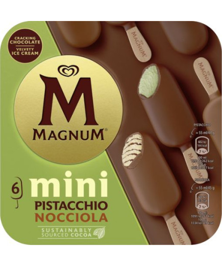 ALGIDA MAGNUM MINI PISTACCHIOGIANDUIA X6 G.267