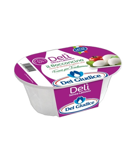 DEL GIUDICE MOZZARELLA SENZA LATTOSIO VASCHETTA G.150