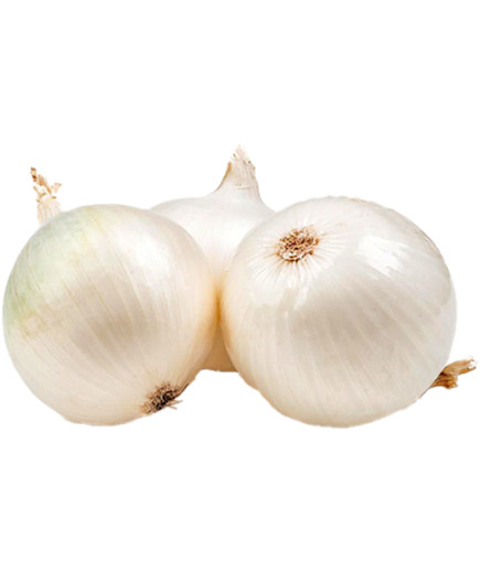 CIPOLLA BIANCA SFUSA