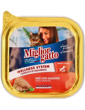 Morando Miglior Gatto Salmone Vaschetta gr.100