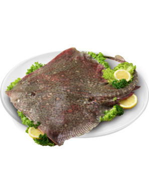 Razza Fresca