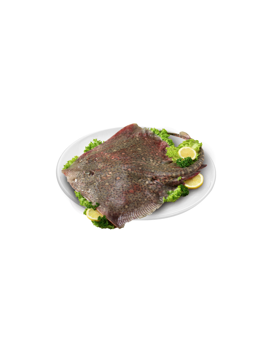 Razza Fresca