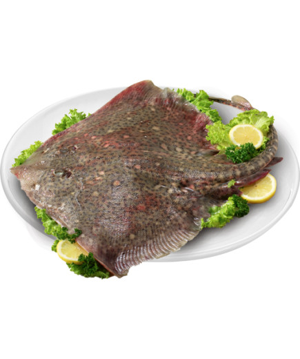 Razza Fresca