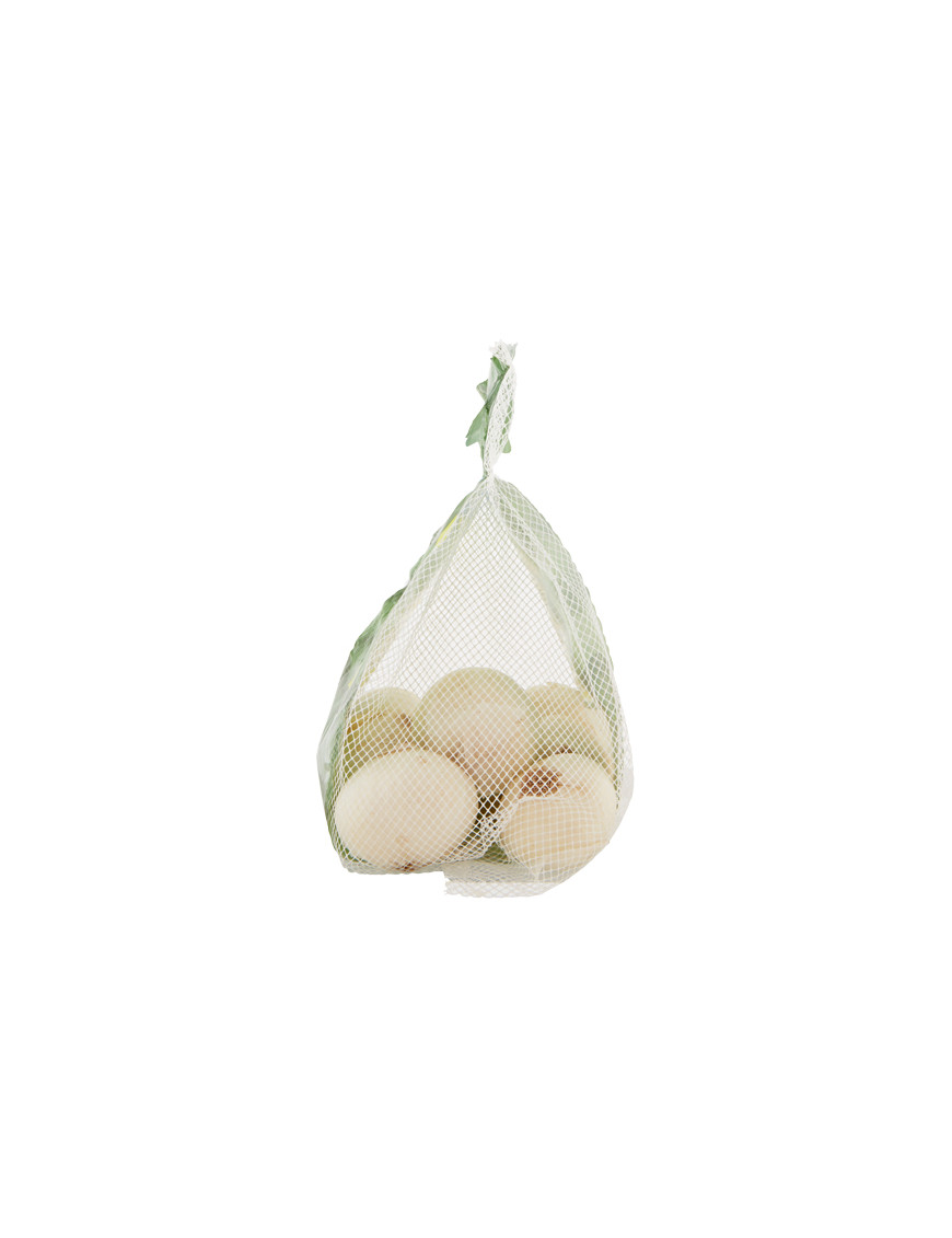 CIPOLLA BIANCA 750 GR