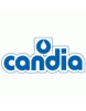 221 - CANDIA