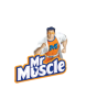 753 - MR MUSCOLO