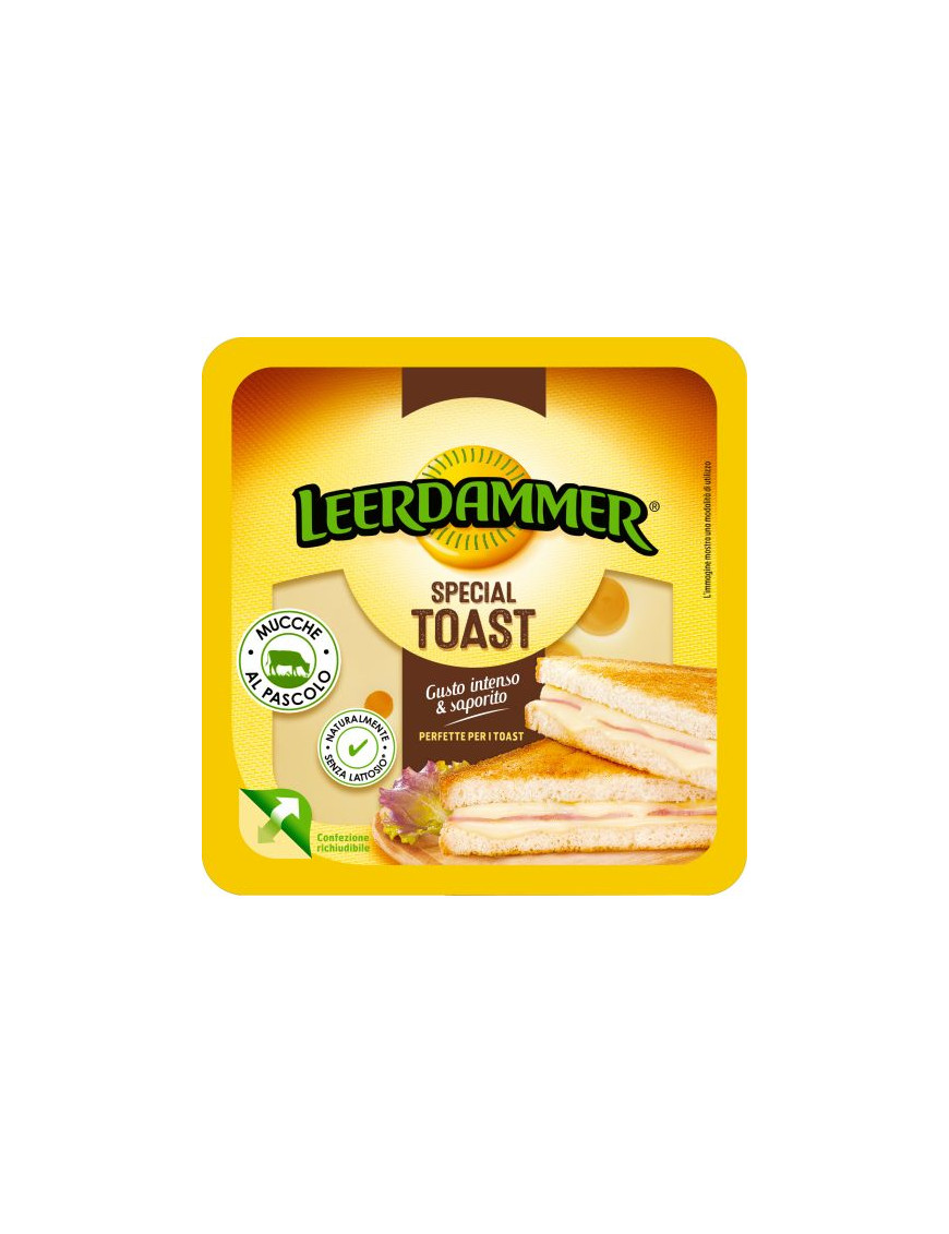 Leerdammer Special Toast gr.125