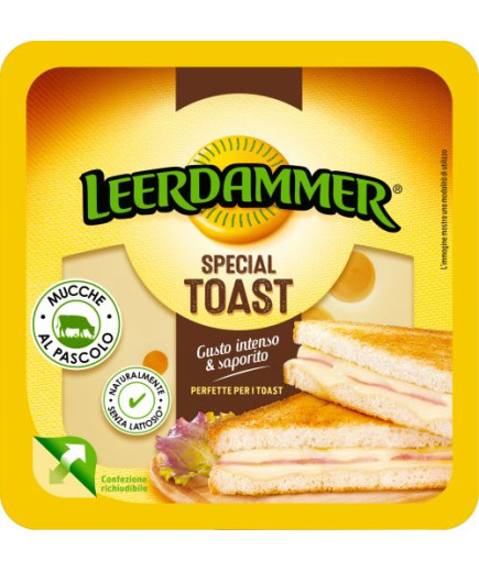 Leerdammer Special Toast gr.125