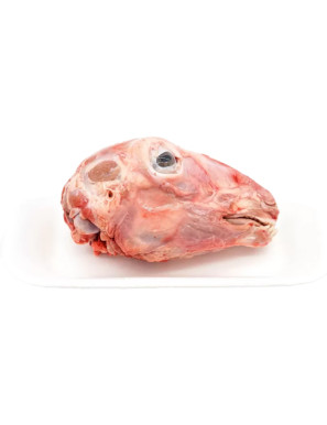 AGNELLO TESTINA.