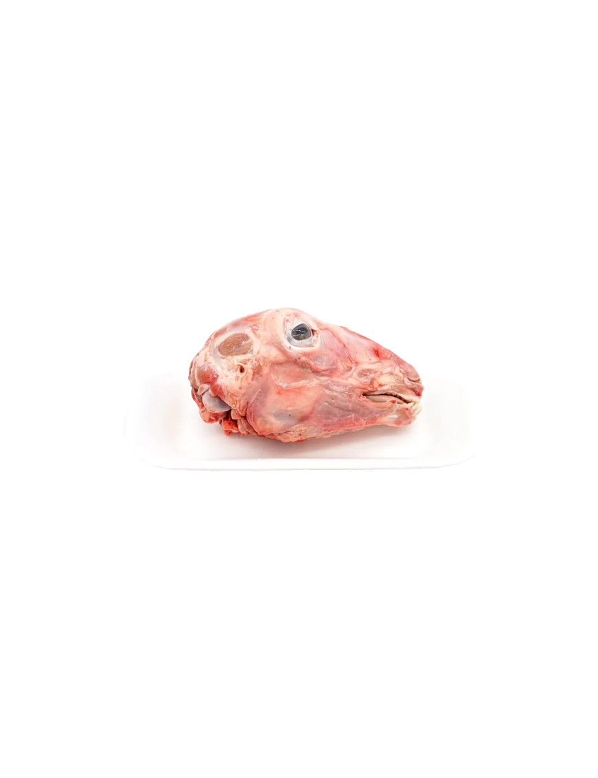 AGNELLO TESTINA.