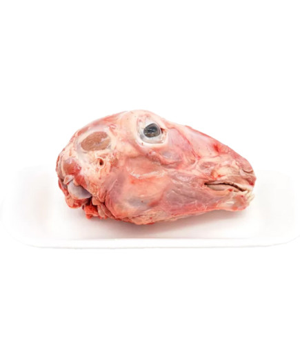 AGNELLO TESTINA.