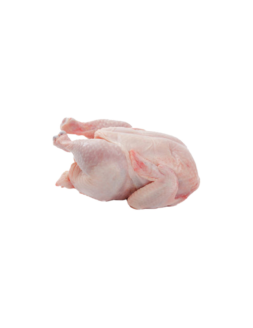 POLLO BUSTO EV.S/FR. BIANCOG.1000 CA  [10 PZ X CT]