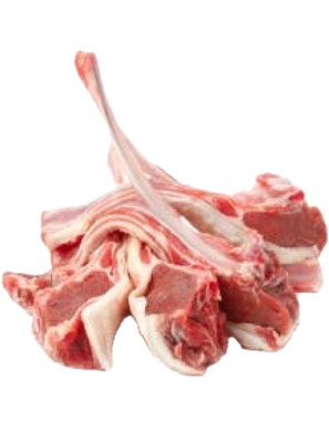 AGNELLO ADULTO COSTATINE