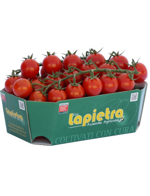 POMODORO CILIEGINO BRUSCHETTA GR.200