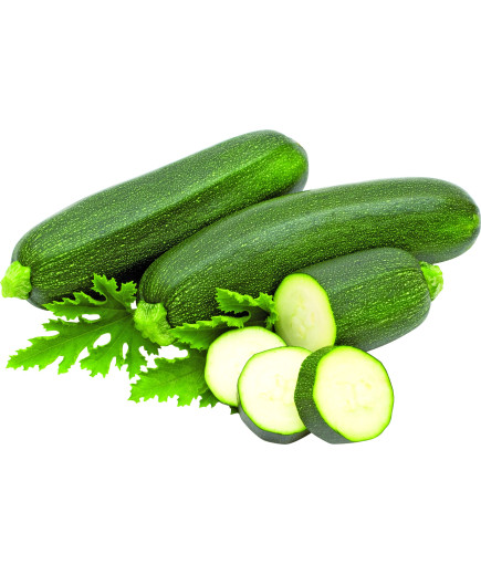 ZUCCHINA VERDE SFUSA