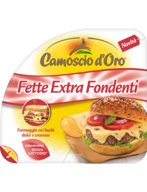 BONGRAIN CAMOSCIO D'ORO FETTEEXTRA FONDENTE G.130