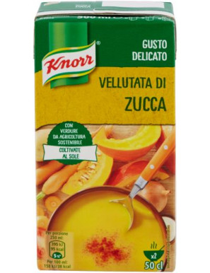 Knorr Vellutata Di Zucca ml.500 Brick