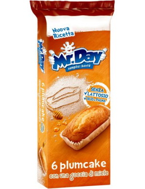 VICENZI MR.DAY PLUMCAKE G.190 (6 PZ)  S/LATTOSIO