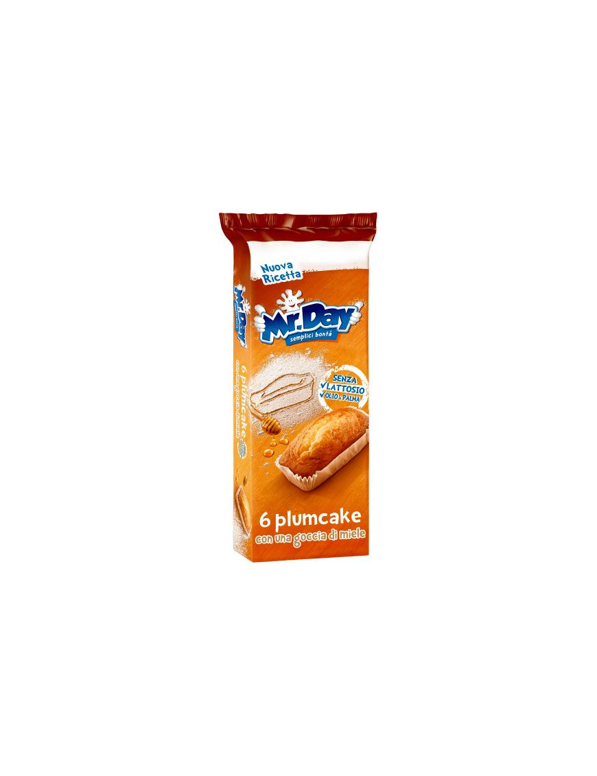 VICENZI MR.DAY PLUMCAKE G.190 (6 PZ)  S/LATTOSIO