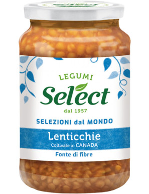 SELECT LENTICCHIE GR.290 V.V
