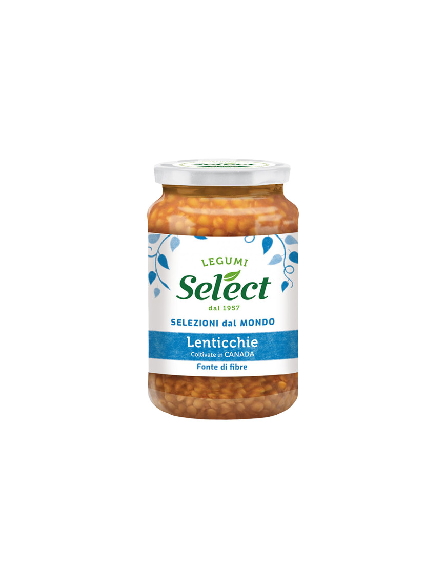SELECT LENTICCHIE GR.290 V.V