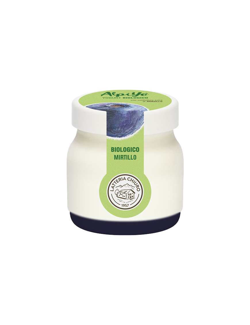 ALPIYO' YOGURT BIO MIRTILLO G.125