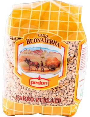 PEDON FARRO PERLATO G.500 BS.