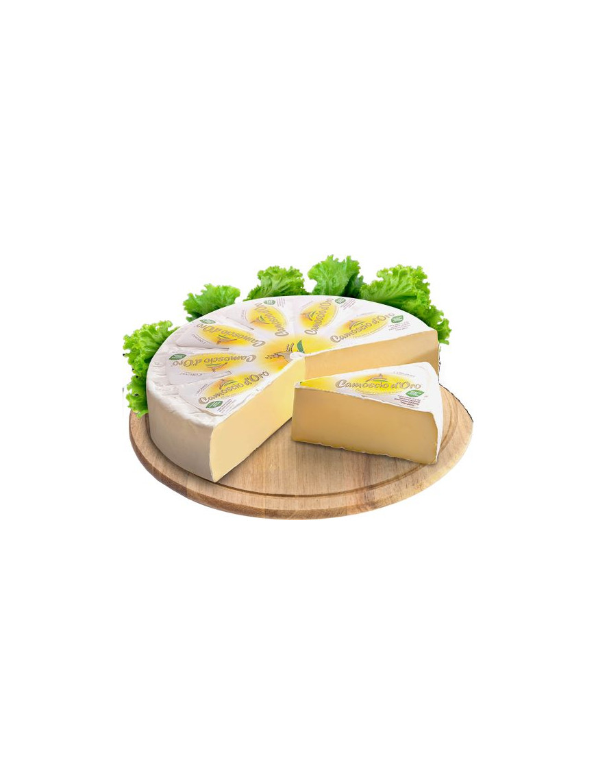 Bongrain Camoscio D'Oro Coupe