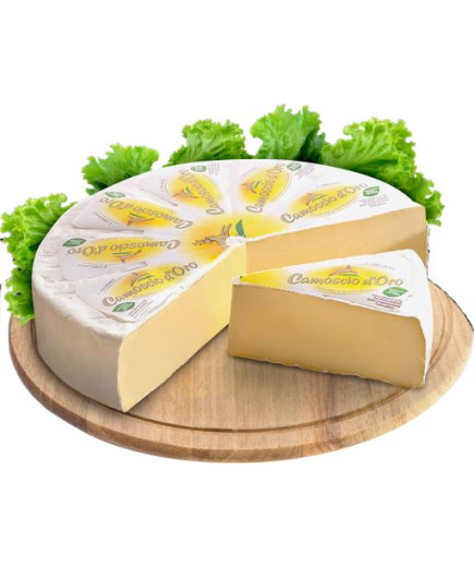 Bongrain Camoscio D'Oro Coupe
